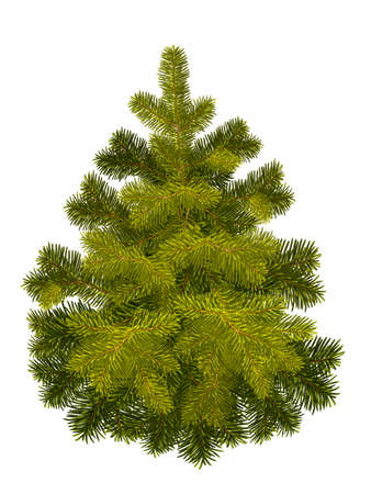 Fluffy Christmas tree, drawing on a white background. Illustration for Christmas and New Year, for postcards, posters and souvenirs.の写真素材