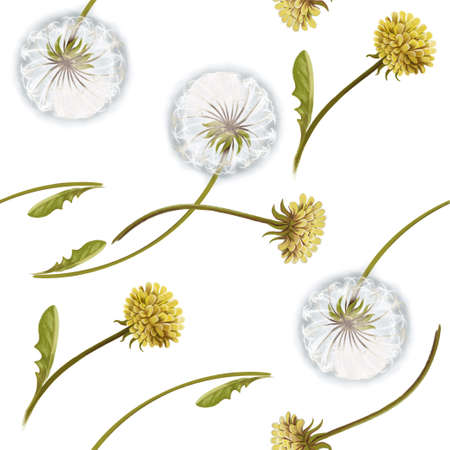 Seamless repeat pattern dandelion on a white background. Suitable for wallpaper, print on children's clothing, paper for gifts.の写真素材