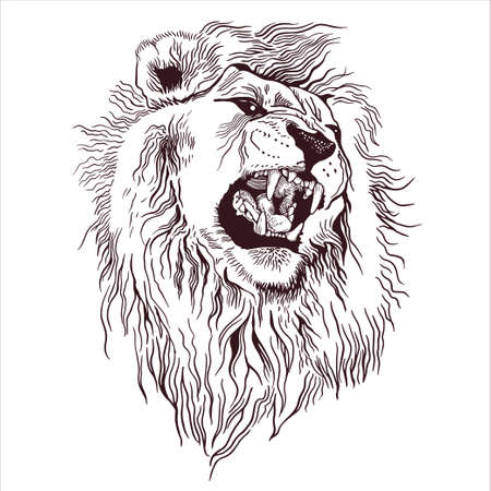 Pencil drawing of the head of a roaring lion in a minimalist style, suitable for tattoo, interior decoration, paintings, print on textiles and t-shirts. Lion roar.のイラスト素材