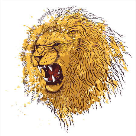 Pencil drawing of the head of a roaring lion in a minimalist style, suitable for tattoo, interior decoration, paintings, print on textiles and t-shirts. Lion roar.のイラスト素材