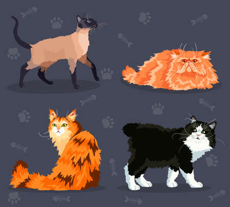 Different  cats set with different colored fur and markings, standing sitting or walking. Vector illustration.のイラスト素材
