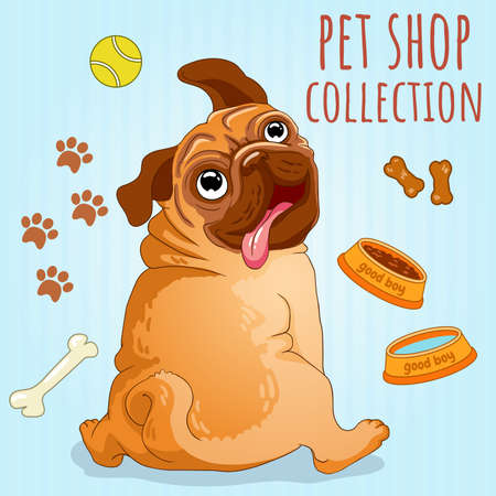 Pet shop poster design with many accessories. Vector illustration.のイラスト素材