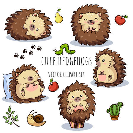 Cartoon cute hedgehogs for baby card and invitation. Vector clipart set.のイラスト素材