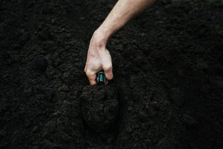 man digs a garden shovel hole in the ground to plant a flower, planting the seedling with the...