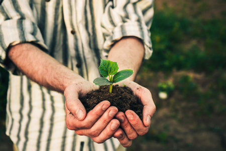 a man holds in his hands and plants young seedlings of cucumbers, watermelons, pumpkins or melons in the ground in the gardenの写真素材