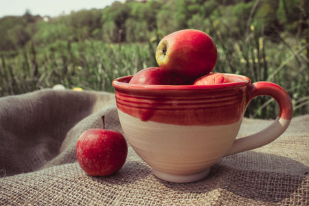 clay cup with apples stands on a cloth on green grassの写真素材