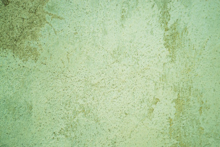 light green antique vintage background for text and labels 1の写真素材