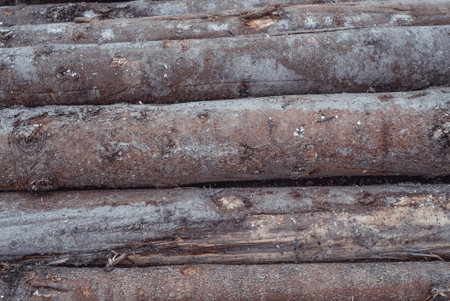 gray old wood background for text 22