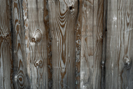 gray old wood background for text 23