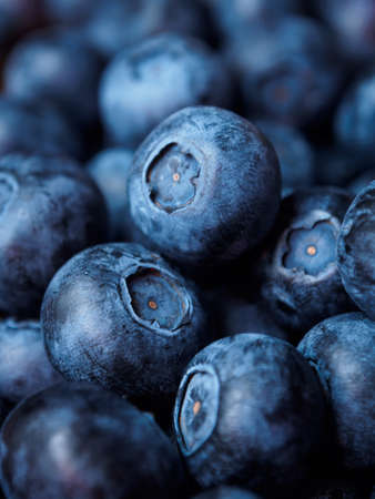 Blueberries Backgroundの写真素材