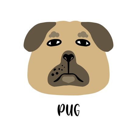 Cute cartoon dogs faces set. Vector illustration isolated on white. Popular breed of dogs. のイラスト素材