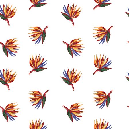 Strelitzia reginae crane flower pattern on white background. Wallpaper with tropical flowers. Perfect for textile, wrapping.のイラスト素材