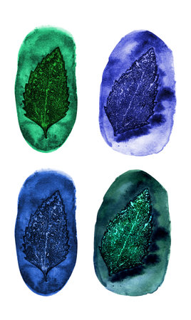 Green and blue mint leaves on a white background.の写真素材