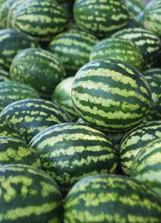 Watermelon in the marketのeditorial素材