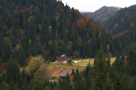 Cozy house on the forest glade in the Carpathian Mountains. Tourist shelterのeditorial素材