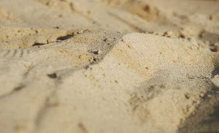 Golden sand beach. Sand background for summer.Tiny grains of sand macroのeditorial素材