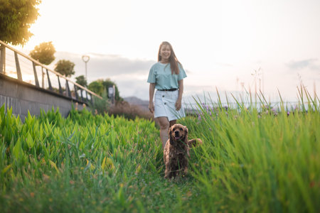 Beautiful young woman is walking with cocker spaniel dog in high grass in the park. beautiful sunset and sky on backgroundの写真素材