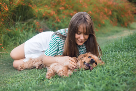 Cute cocker Spaniel dog having fun and playing with young beautiful woman lying on a lown with green...