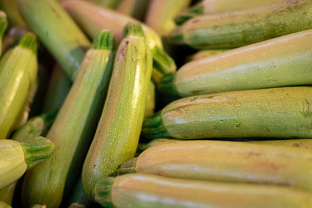 Green zucchini as background image. Fresh organic vegetables on bazaar or market shelf. Summer season healthy foodの写真素材