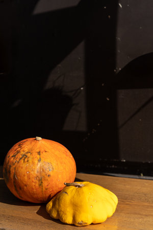 A pair of pumpkins in varying sizes sits on a wooden surface. The larger pumpkin, with mottled...