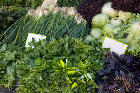 A vibrant selection of fresh vegetables is displayed at a local market, highlighting an array of greens. The stall features crisp lettuce, leafy spinach, aromatic herbs, and cabbages, all artfully arranged in black crates. Shoppers enjoy the colorful offerings under a sunny sky, creating an inviting atmosphere for produce lovers.の写真素材