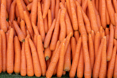 A vibrant display of fresh orange carrots is arranged in neat rows at a local farmers market. The...