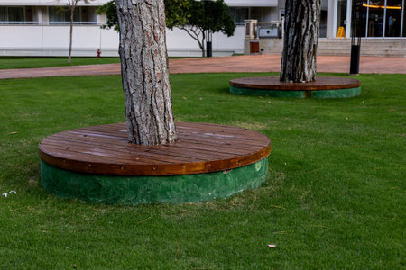 Wooden platforms surround the trunks of trees in a lush green park. The area is clean and orderly, inviting visitors to relax and enjoy nature. Smart and organic bench constructionの写真素材
