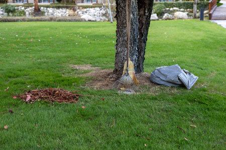 A pile of leaves sits on the grass, while a gray garbage bag is nearby. It is a clear, sunny day.