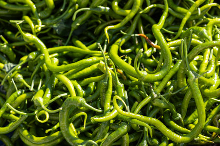Vibrant green chilies are arranged in a lively display at a bustling market. The sunlight highlights their freshness, making them look inviting. This setting captures the essence of local produce.の写真素材