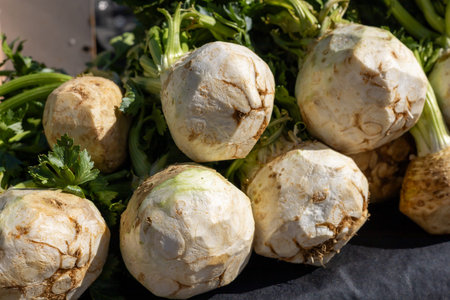 A collection of freshly organic harvested celery roots rests on a table at a farmers market during...