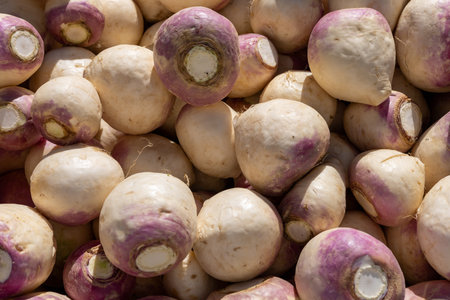 A variety of turnips are piled together at a farmers market. Their smooth textures and vibrant colors make them appealing to shoppers seeking fresh produce during a sunny afternoon.の写真素材