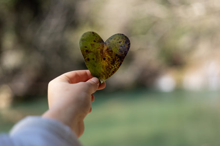 A person holding a heart-shaped leaf stands by a calm river. The setting features blurred greenery and a soft flowing water backdrop, evoking a peaceful atmosphere.の写真素材