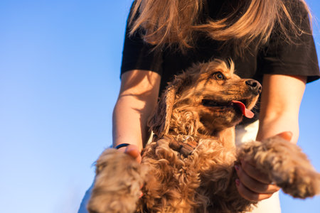 A woman joyfully hugs her cocker spaniel as they share a tender moment. The dog enthusiastically licks her face amidst a backdrop of bright blue sky, showing their strong bond.の写真素材