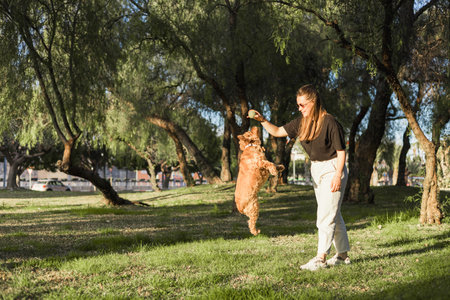 woman the grass, smiling widely playing with ball and interacts with her cocker spaniel. The scene captures a moment of joy and connection between the two in lush park setting. Pet training processの写真素材