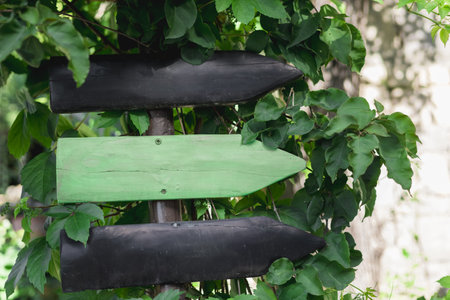 A wooden mockup signpost with copy cpace for text, three arrows stands among lush green plants, suggesting various directions. Tourism and travel, vaction conceptの写真素材