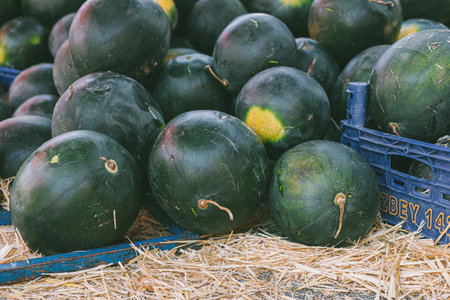 Fresh, organic watermelons stacked in blue crates on straw. The watermelons are round, dark green, and vary in size, showcasing local produce.の写真素材
