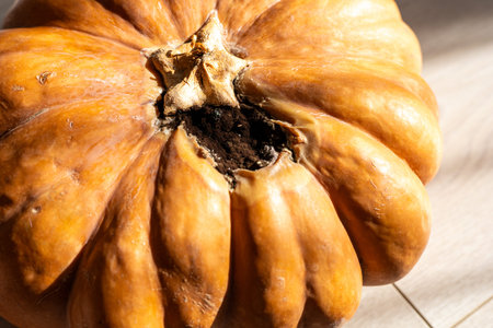 A large, orange pumpkin with a slightly damaged surface sits on a light wooden floor. Sunlight casts shadows, highlighting its texture and imperfections.の写真素材