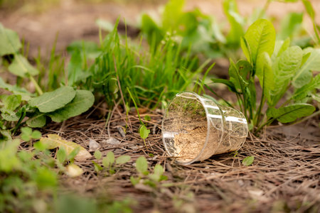 A plastic cup lies on the ground among green grass and small plants. The scene highlights...