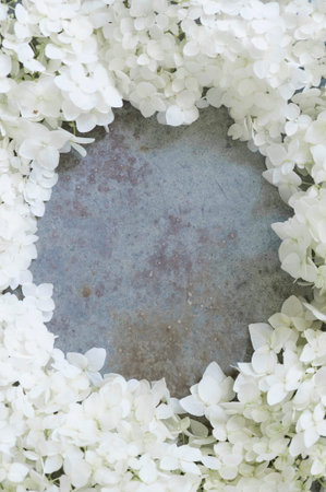 Vintage frame of Hydrangea flowersの写真素材