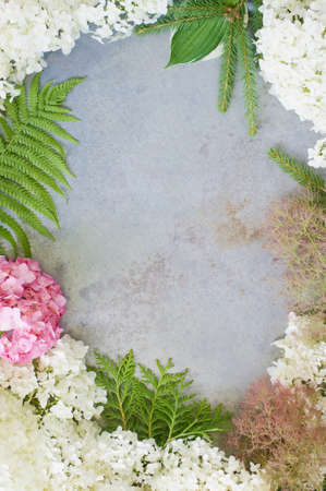 Delicate floral composition as the frameの写真素材