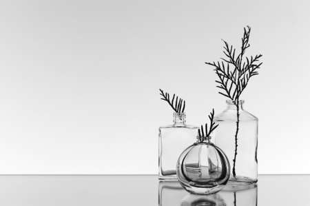 Glass transparent vases with branchesの写真素材