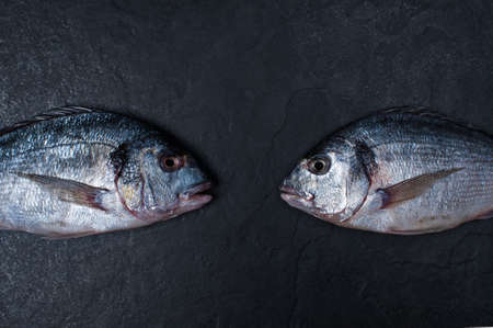 Two raw dorados on the dark stone tableの写真素材