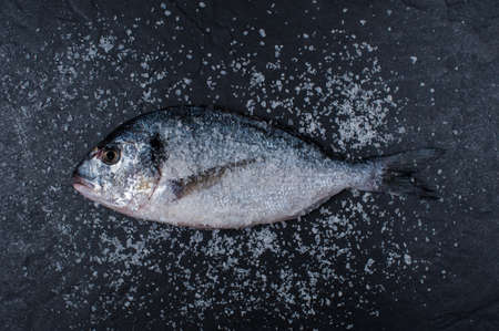 Salt dorada on the dark stone tableの写真素材