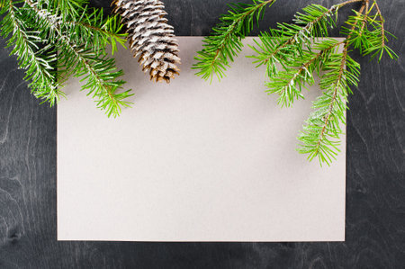 Blank sheet of paper and branches of pineの写真素材