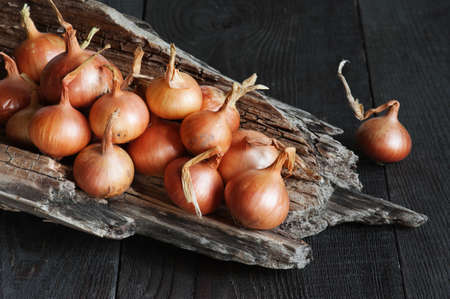 Fresh onions on the dark wooden tableの写真素材