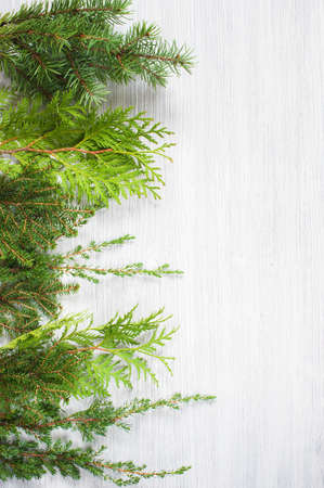 White wooden background with evergreen branchesの写真素材