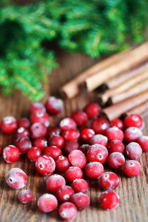 Composition with frozen cranberryの写真素材