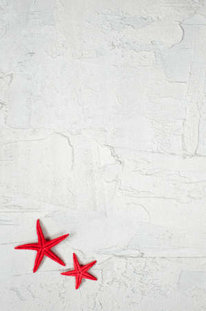 Two starfish on the textured light background with empty spaseの写真素材