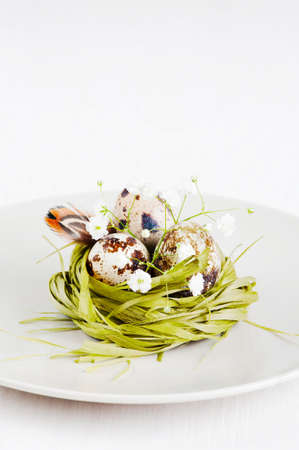 Green nest with quail eggs on the plateの写真素材