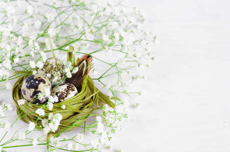Green nest with eggs on the flowers on the white wooden tableの写真素材